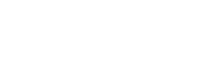 Birgit Zacher - Logo White